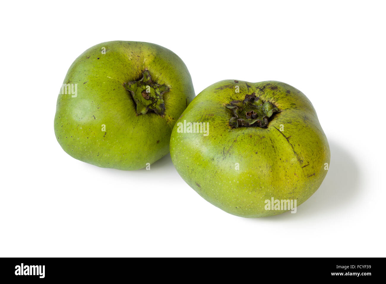 Two fresh black sapote fruit on white background Stock Photo
