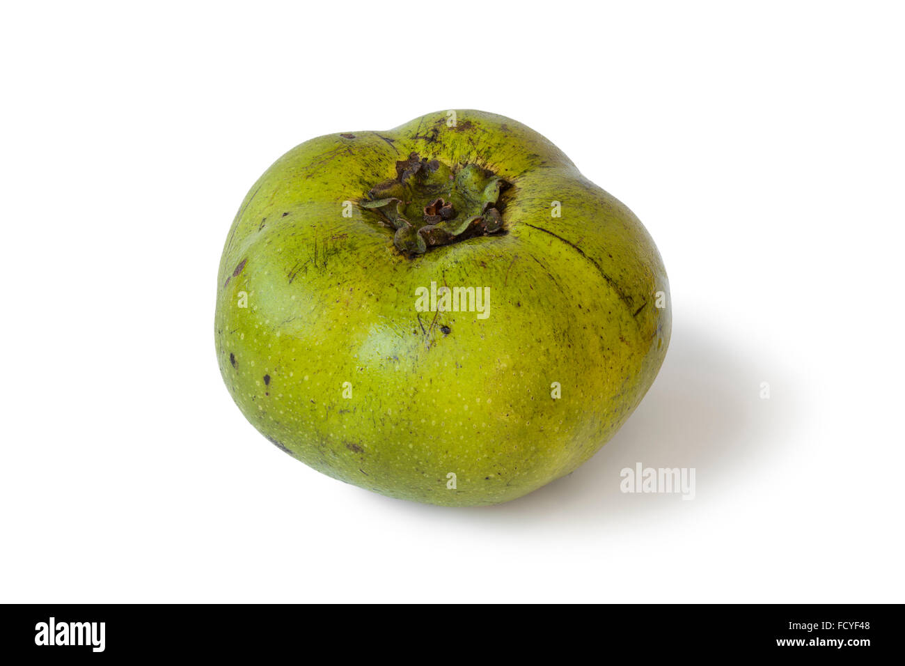 Fresh unripe black sapote fruit on white background Stock Photo