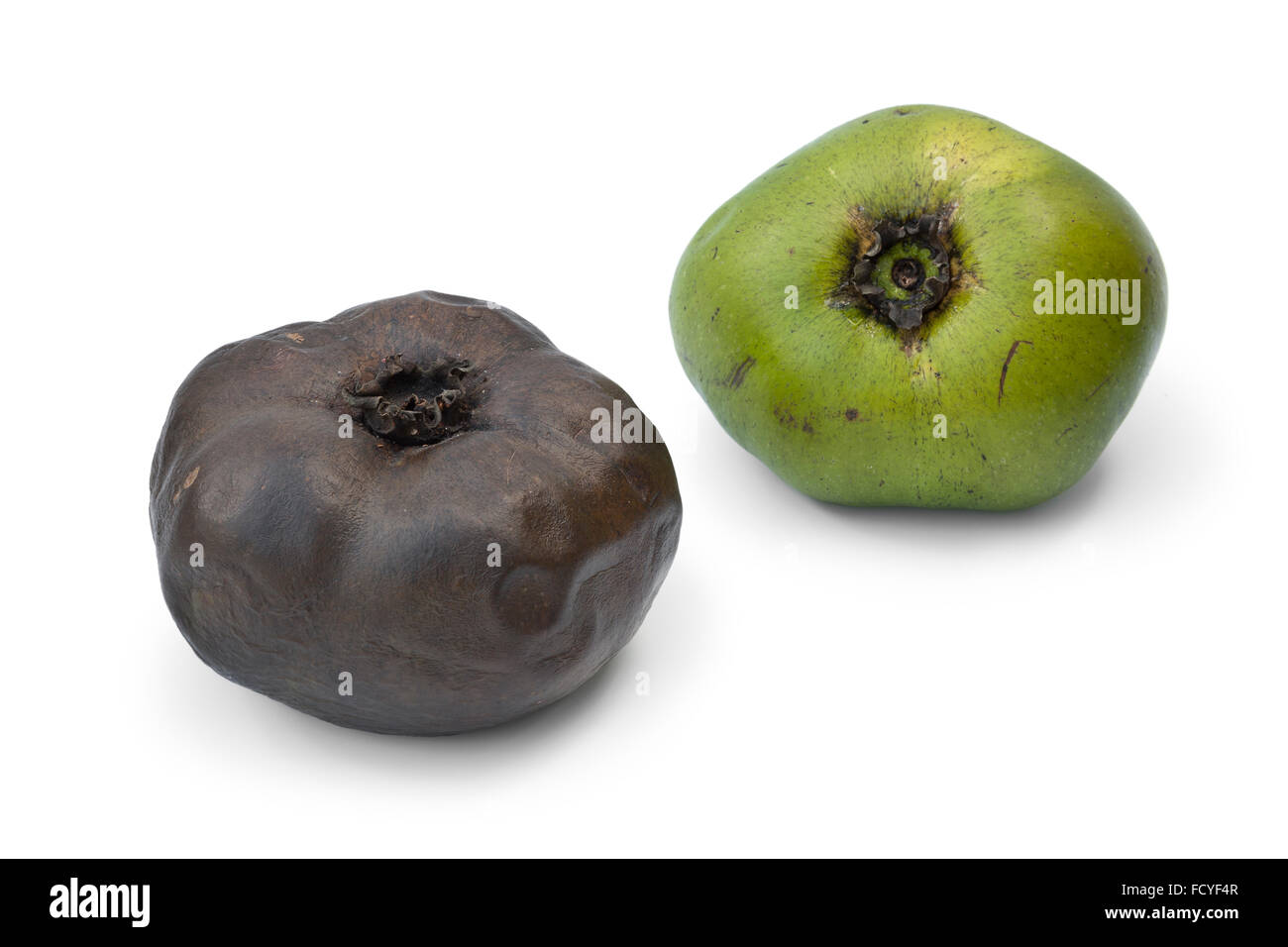 Ripe and unripe black sapote fruit on white background Stock Photo