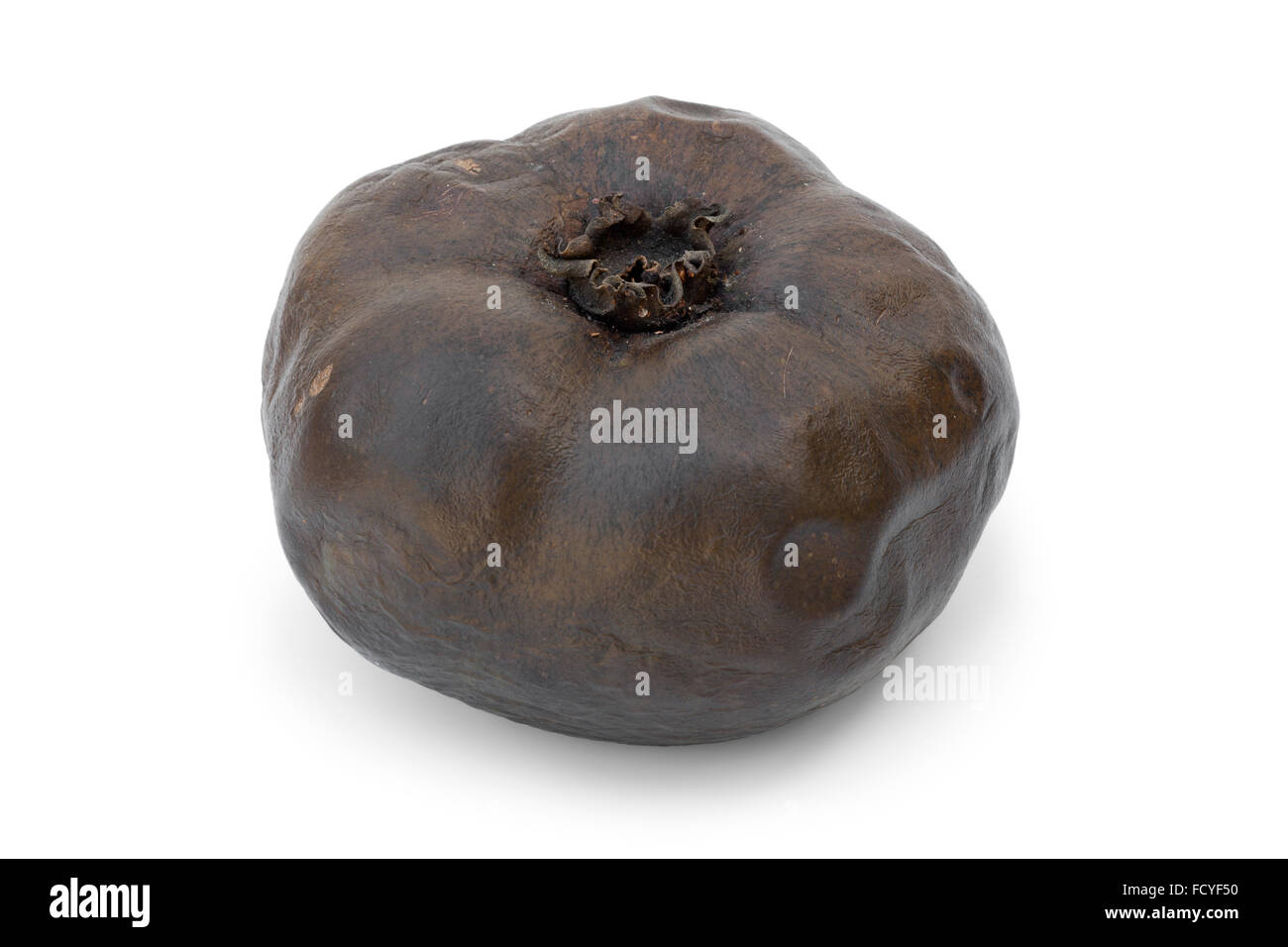 Ripe black sapote fruit on white background Stock Photo