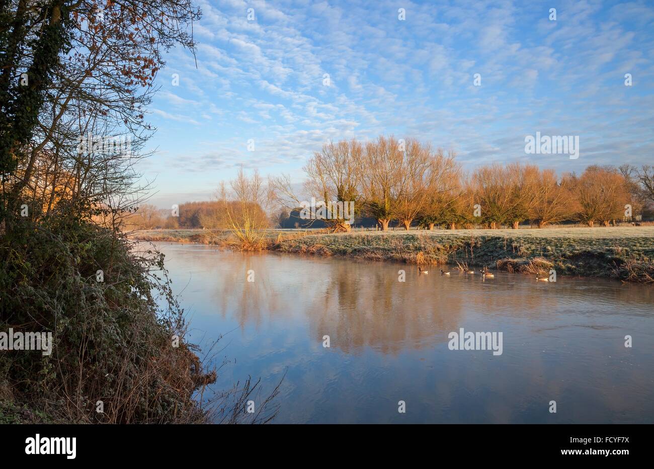 River Avon in winter near Welford on Avon, Warwickshire, England. Stock Photo