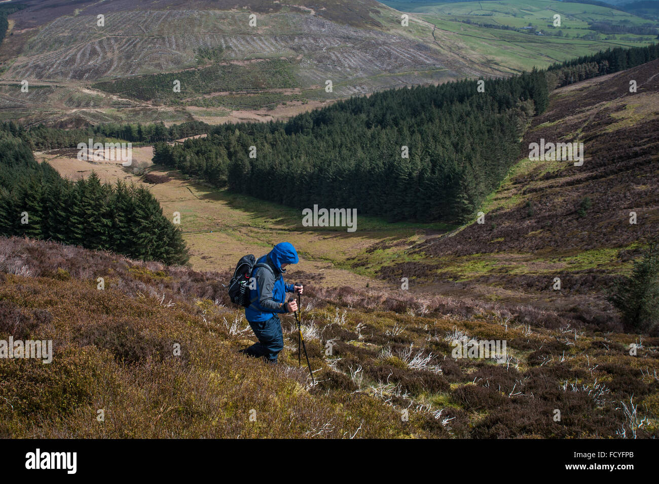 Walking in Bowland Stock Photo