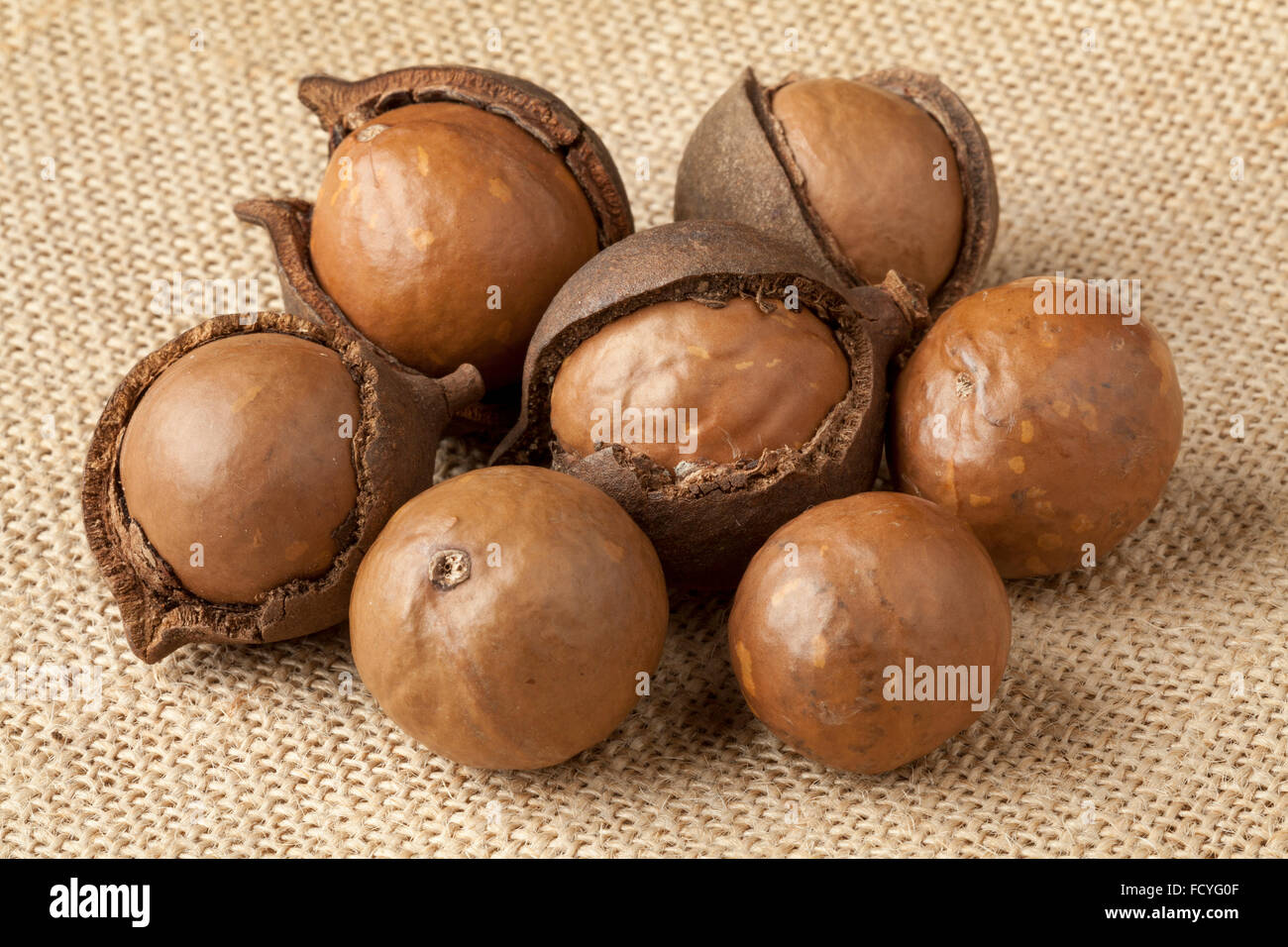 Broken macadamia  nuts in nutshells Stock Photo
