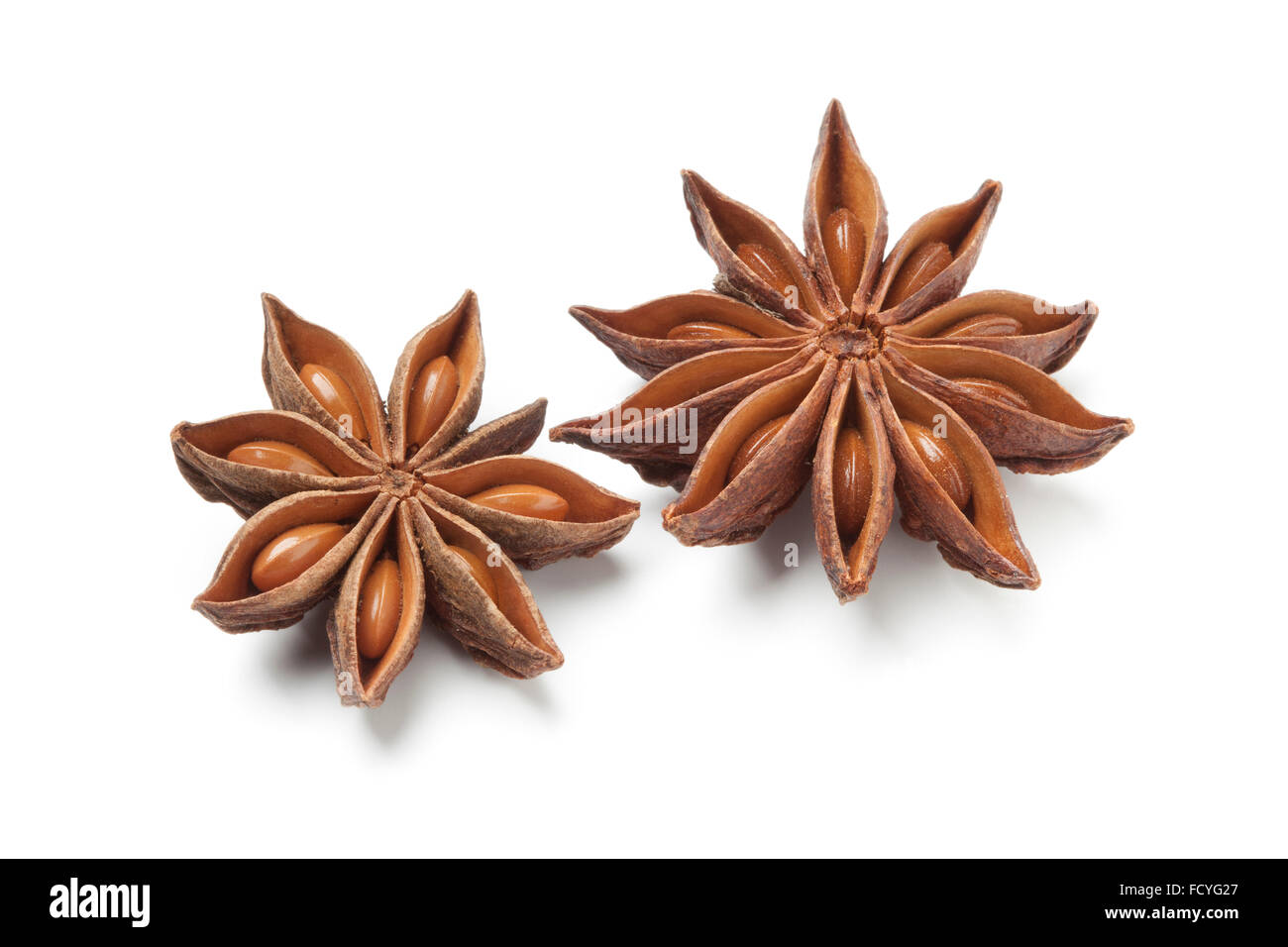 Star anise seed on white background Stock Photo Alamy