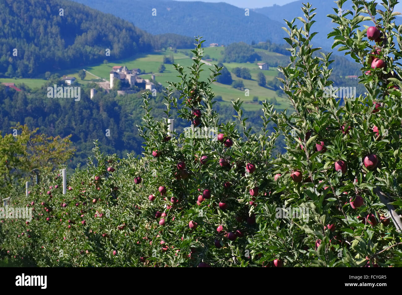 Proesels Schloss in den Dolomiten - Proesels castle in italian Dolomites Stock Photo