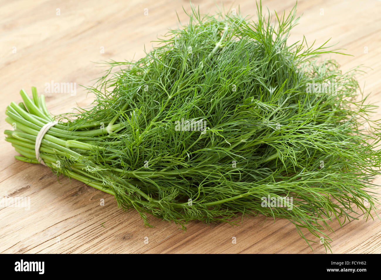Dill weed hires stock photography and images Alamy
