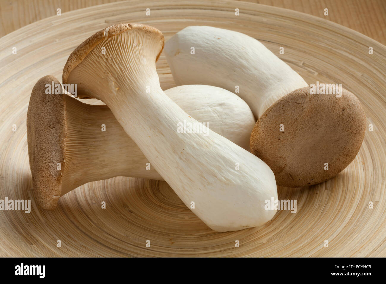 Fresh raw king oyster mushrooms Stock Photo