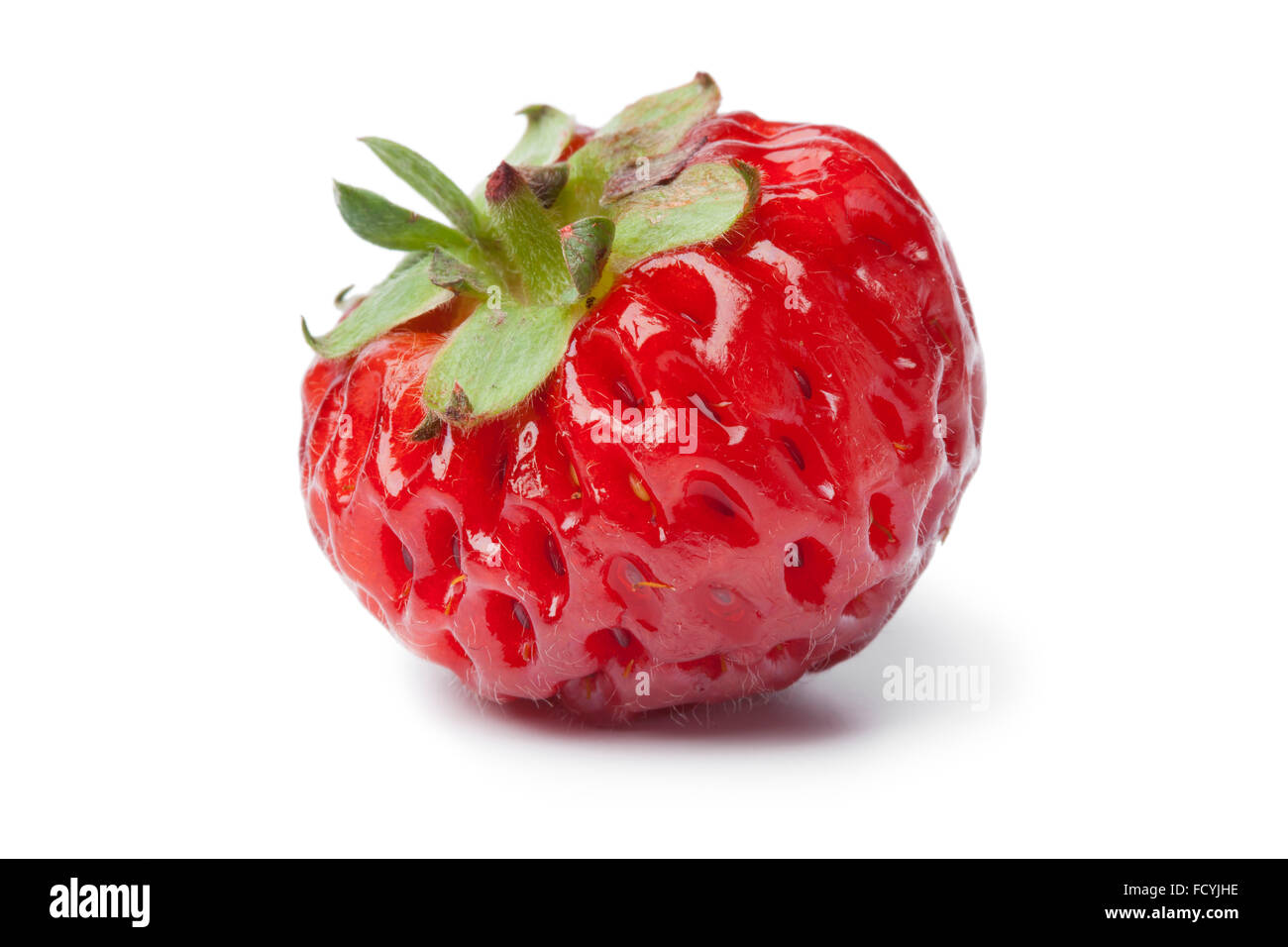 Single fresh ripe strasberry on white background Stock Photo