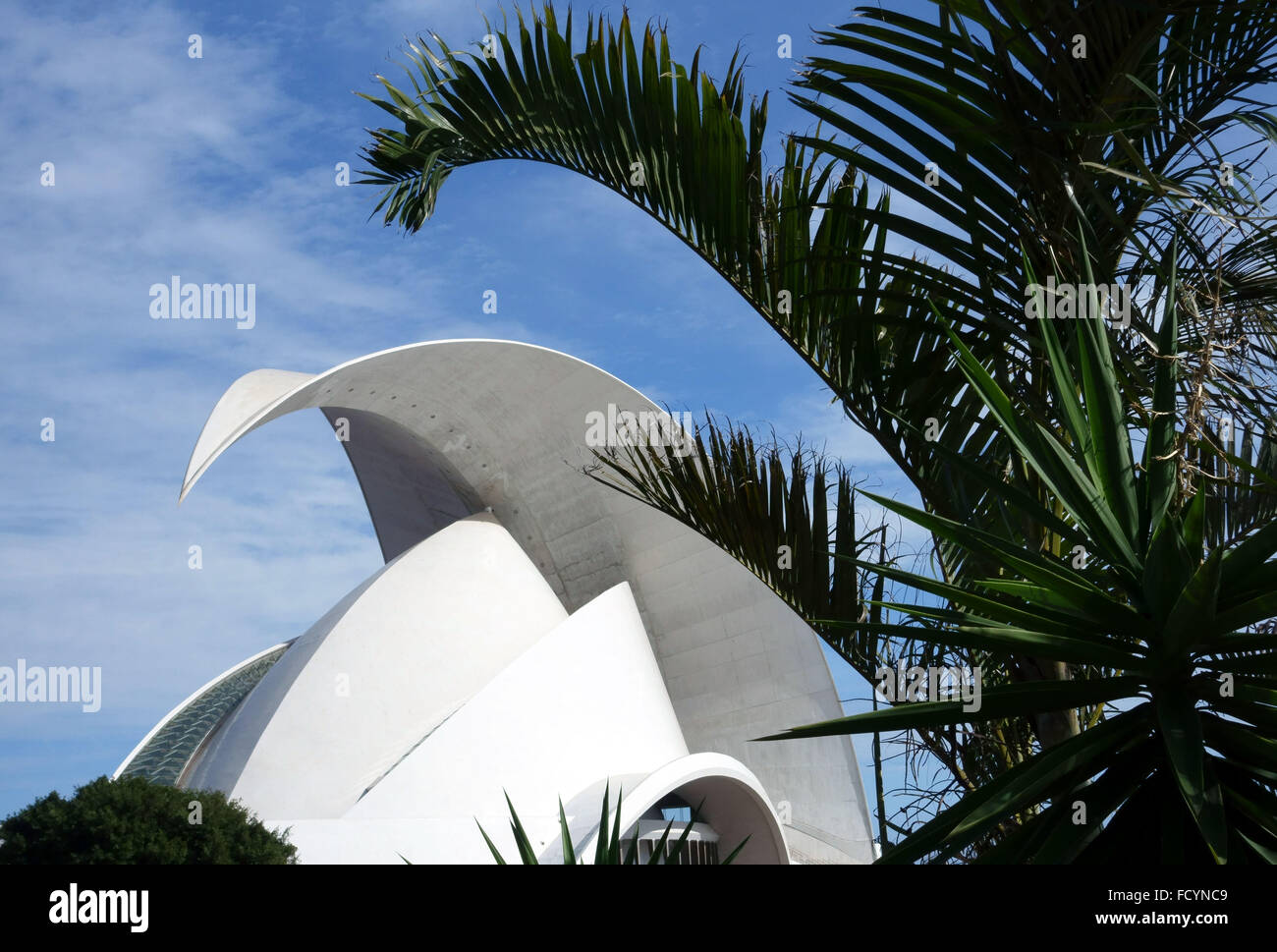Palm trees inspired the design of the Auditorio concert hall in Santa Cruz de Tenerife, Canary Islands, Spain Stock Photo