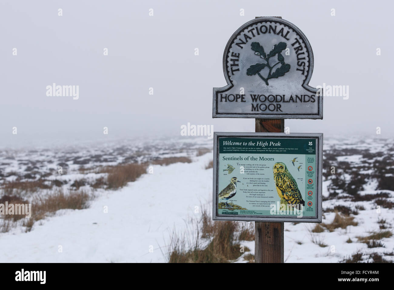 National Trust sign,  Bleaklow, along the A57 Snake Pass road, in January. Derbyshire (Peak District) Stock Photo