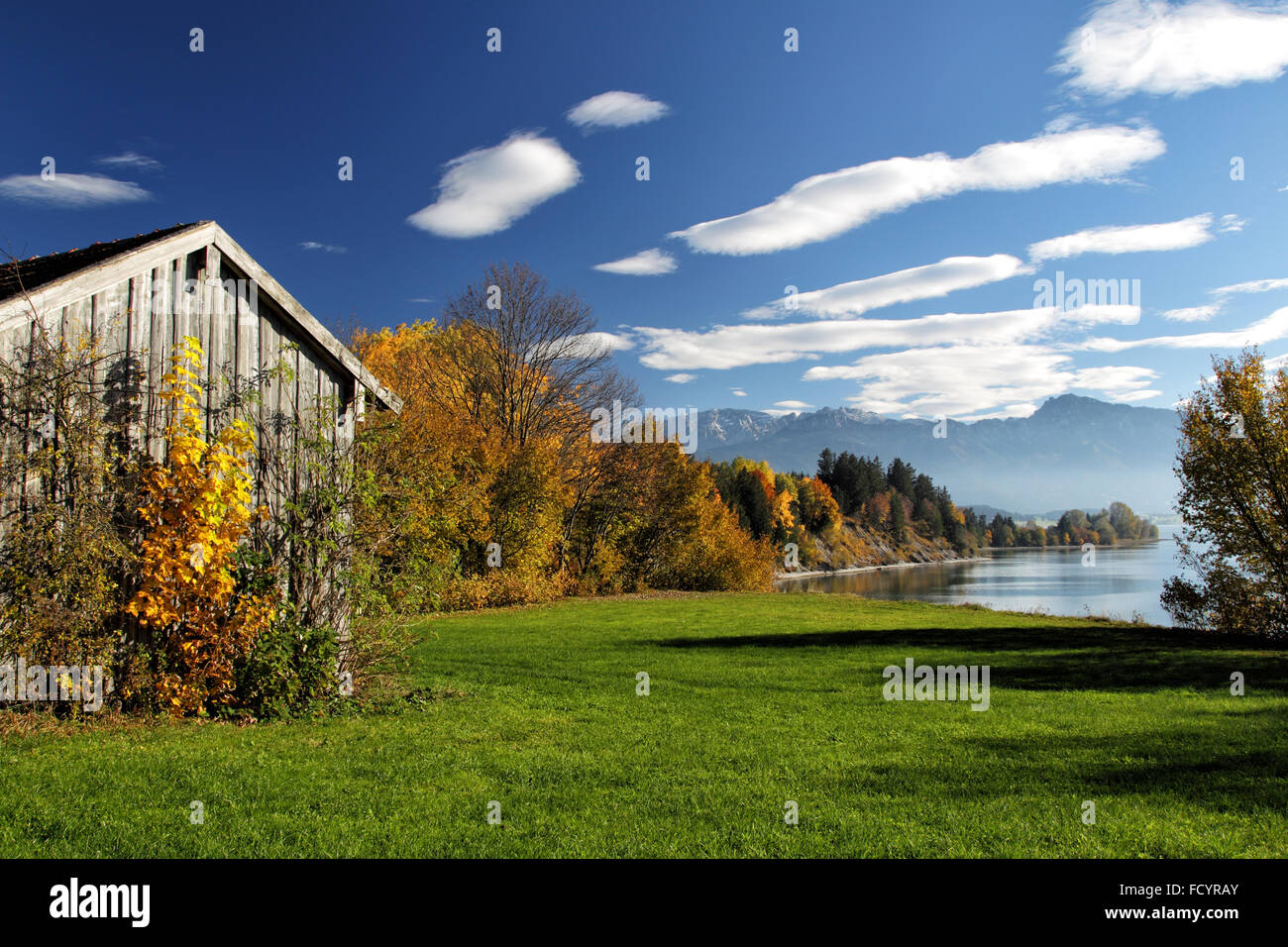 Autumn landscape with view on the Alps at the Forggensee in Allgäu, Bavaria, Germany. Stock Photo