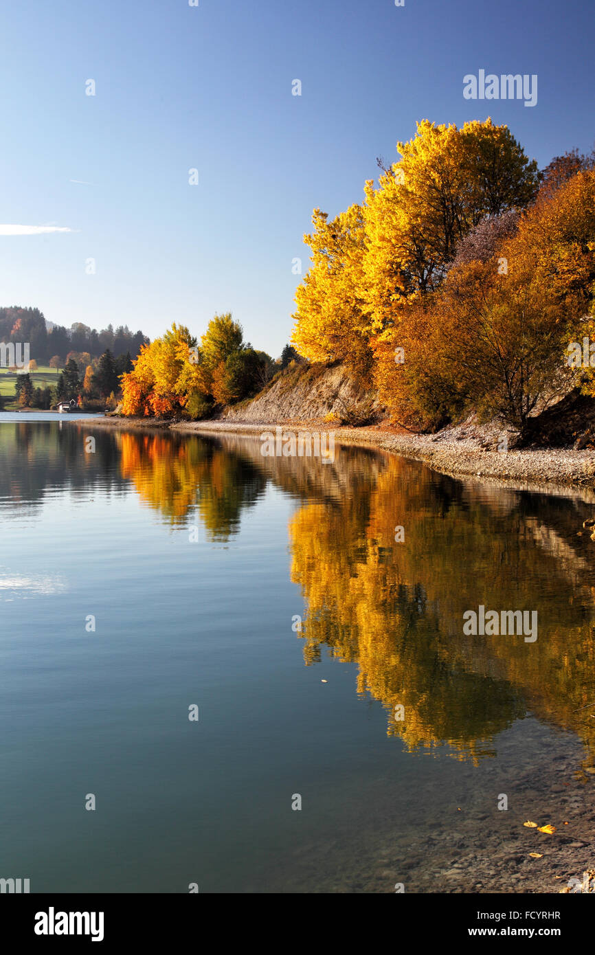 Autumn landscape reflecting in the Forggensee in Allgäu, Bavaria, Germany. Stock Photo
