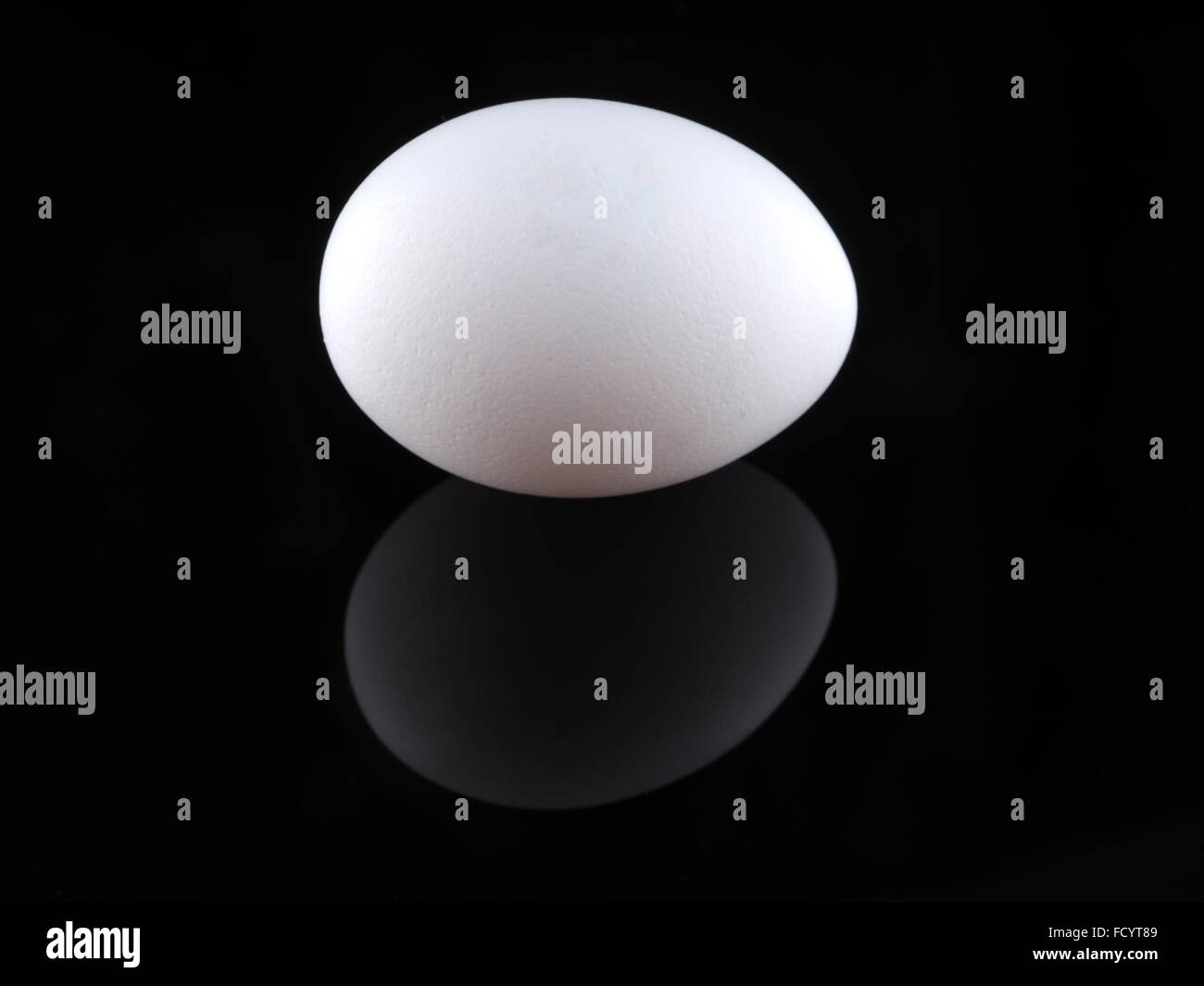 white egg on a black background Stock Photo - Alamy