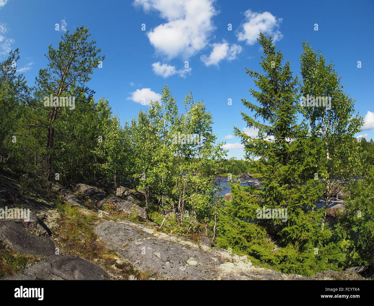 Rocks in the Forest Stock Photo - Alamy