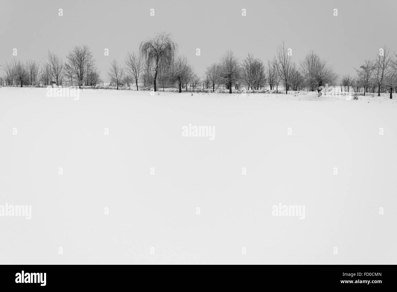snowy lake with trees in the background piestany slovakia Stock Photo