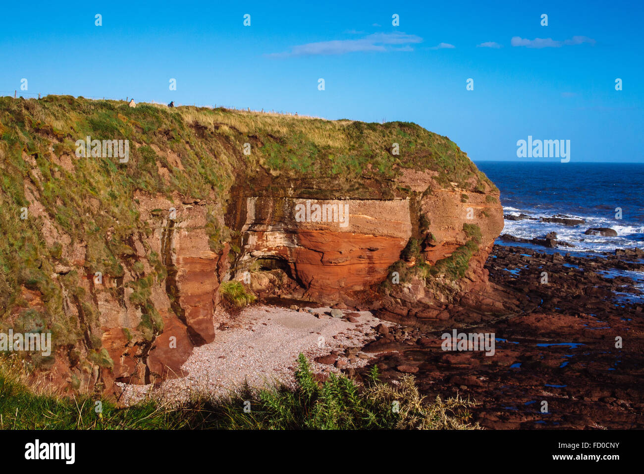 Arbroath cliffs hi-res stock photography and images - Alamy