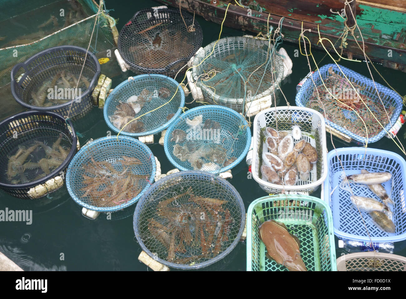 Baskets holding different types of fish and shellfish for sale tethered