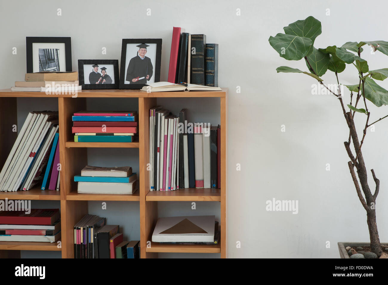 Photos and books arranged in the shelf Stock Photo Alamy