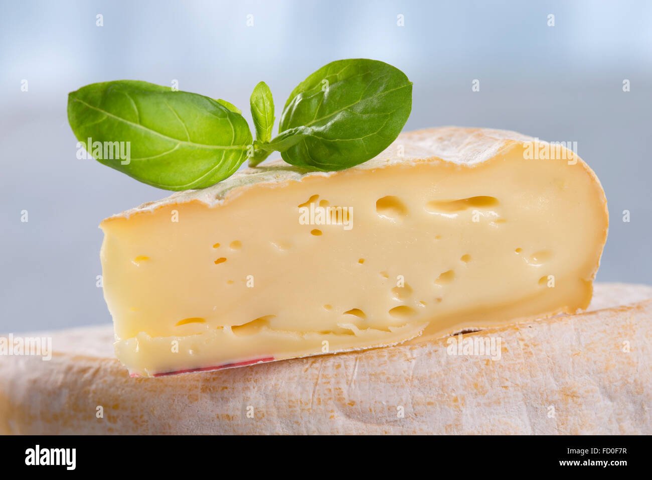 French Reblochon cheese Stock Photo Alamy