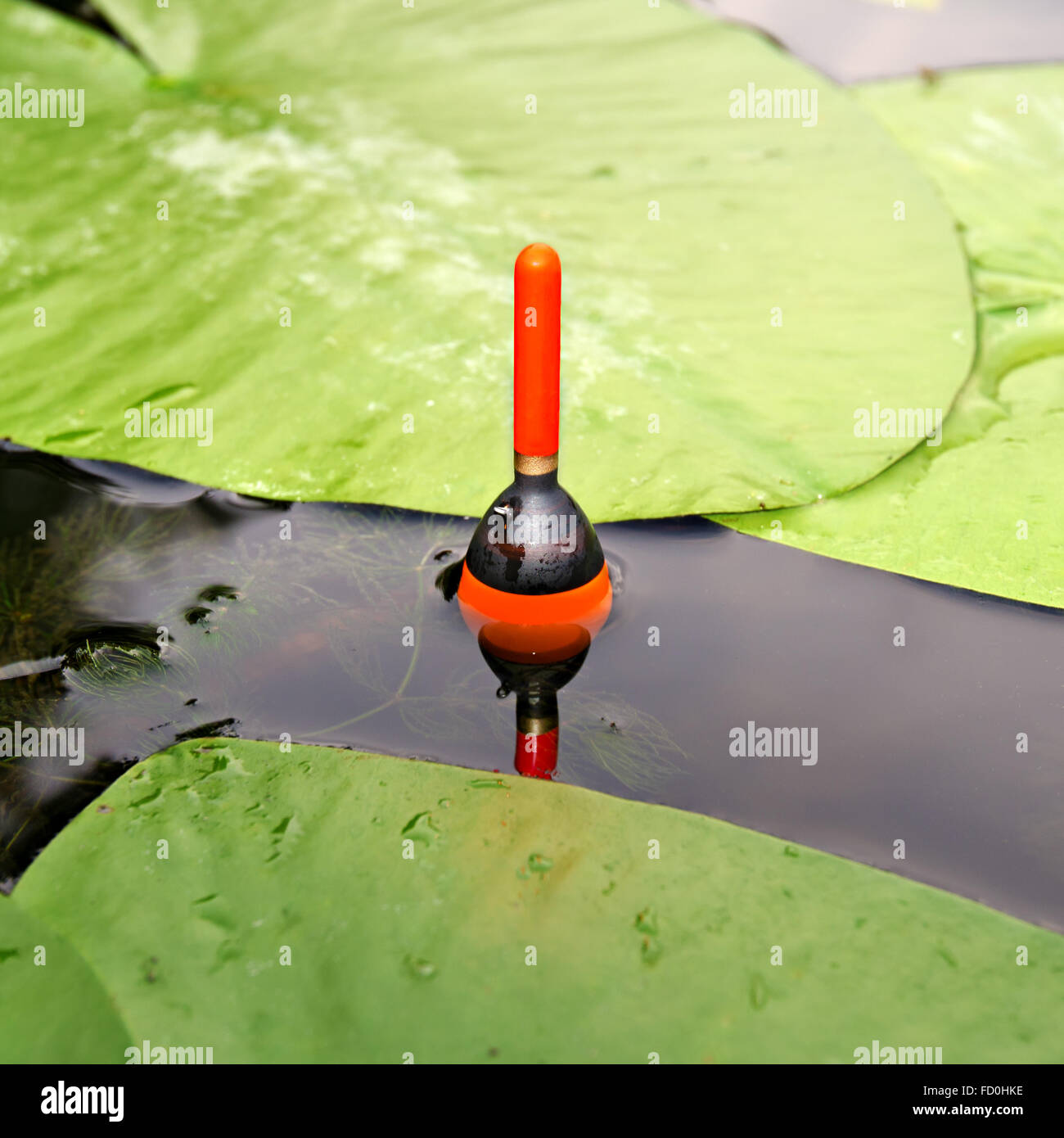 Fishing line with bobber floating in a lake Stock Photo - Alamy