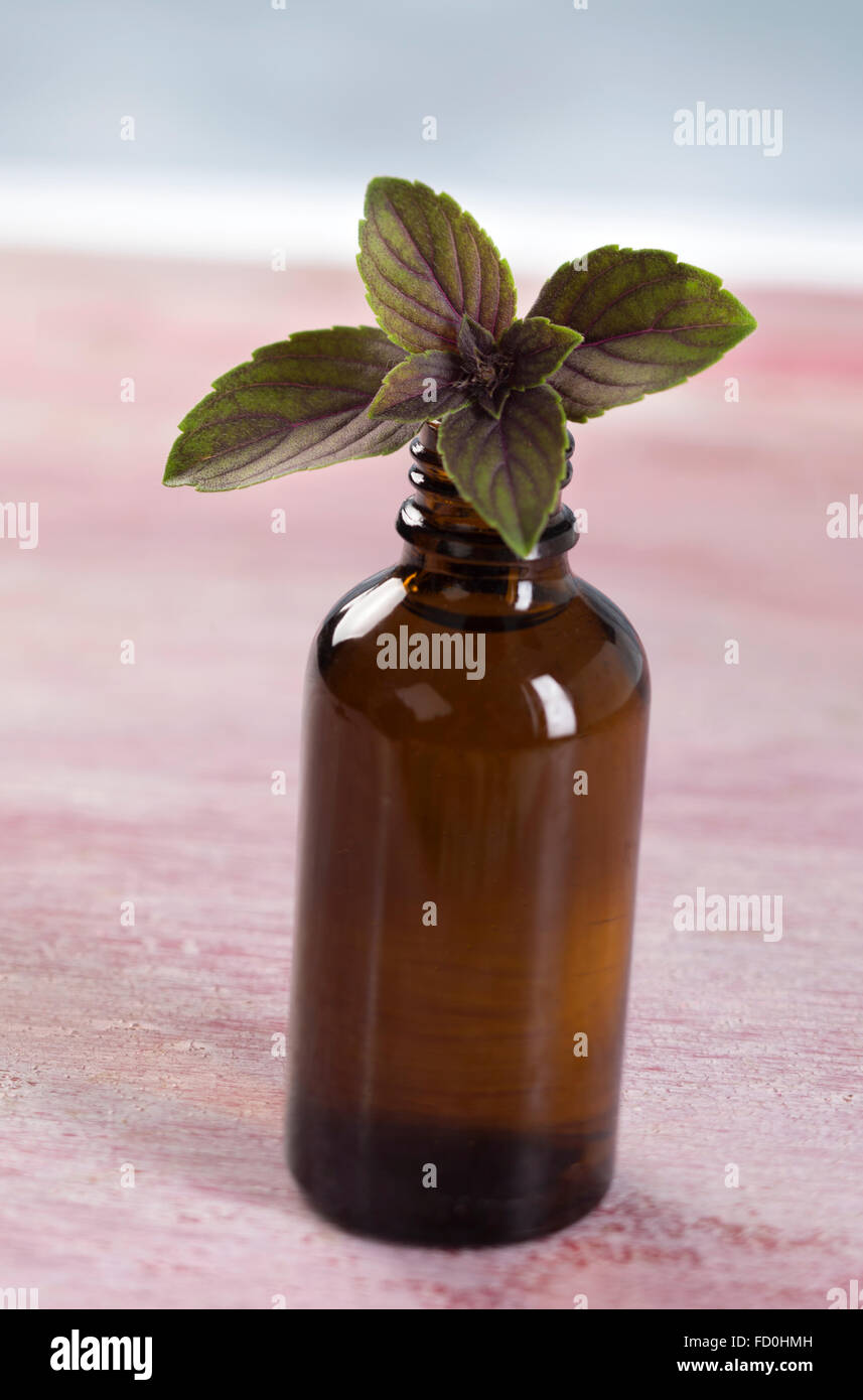 Aromatherapy Basil essential oil bottle Stock Photo Alamy