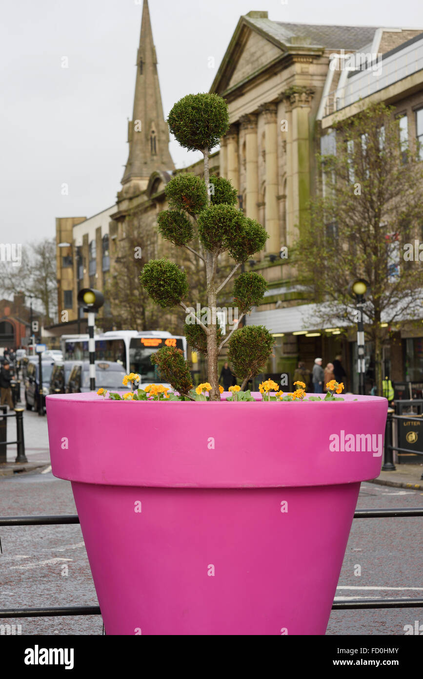 Giant bright pink flowerpot in bury town centre, in lancashire uk Stock