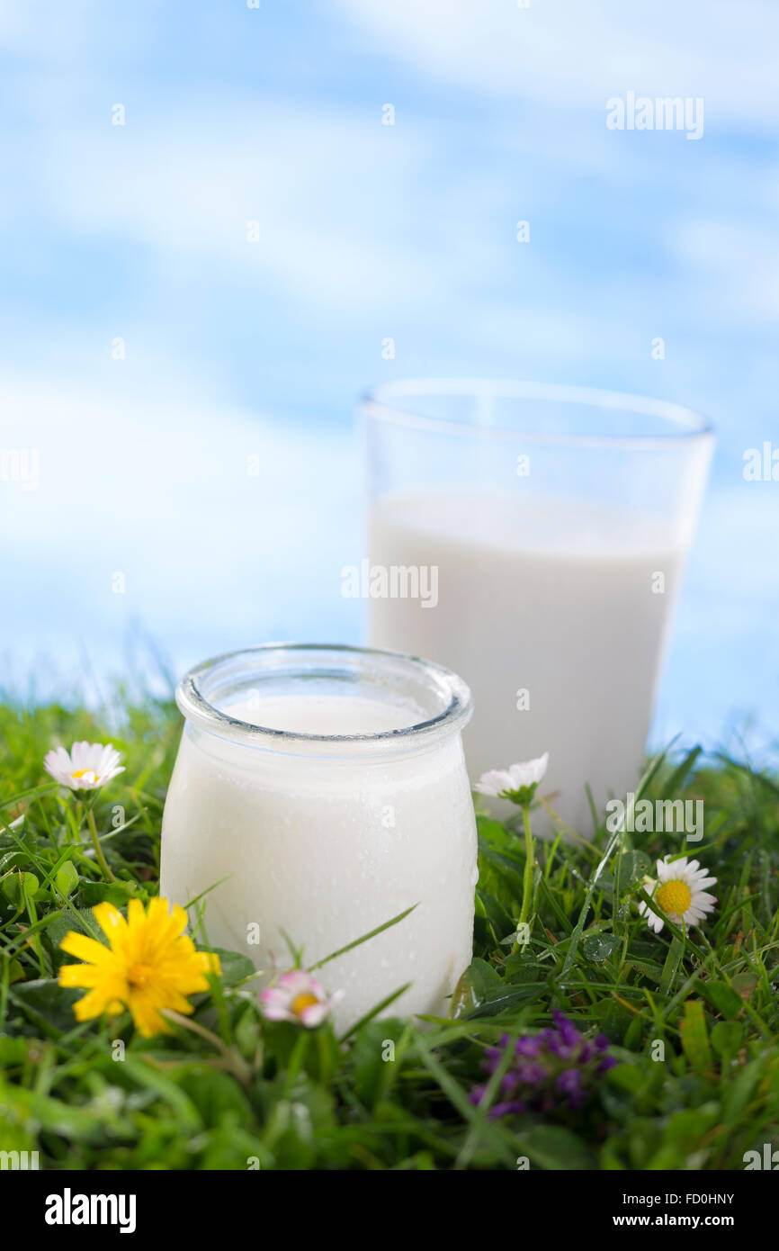 milk and yoghurt on the grass with Stock Photo