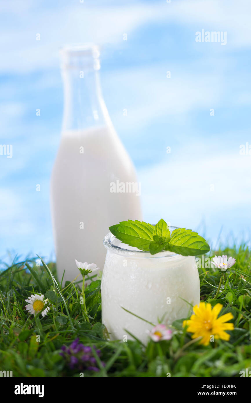 milk and yoghurt on the grass Stock Photo