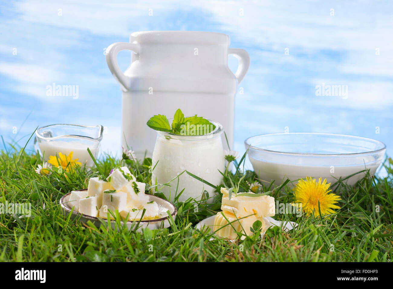 dairy products on the grass Stock Photo