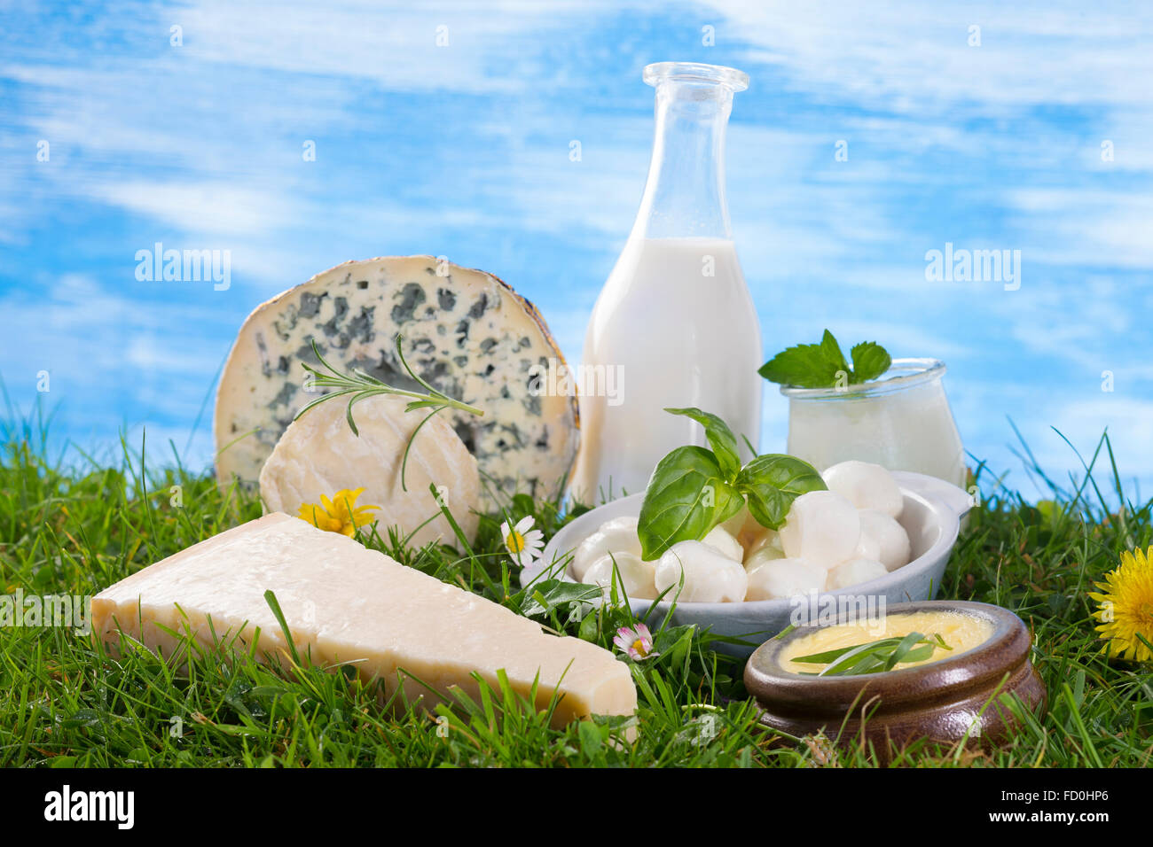 dairy products on the grass and flowers Stock Photo