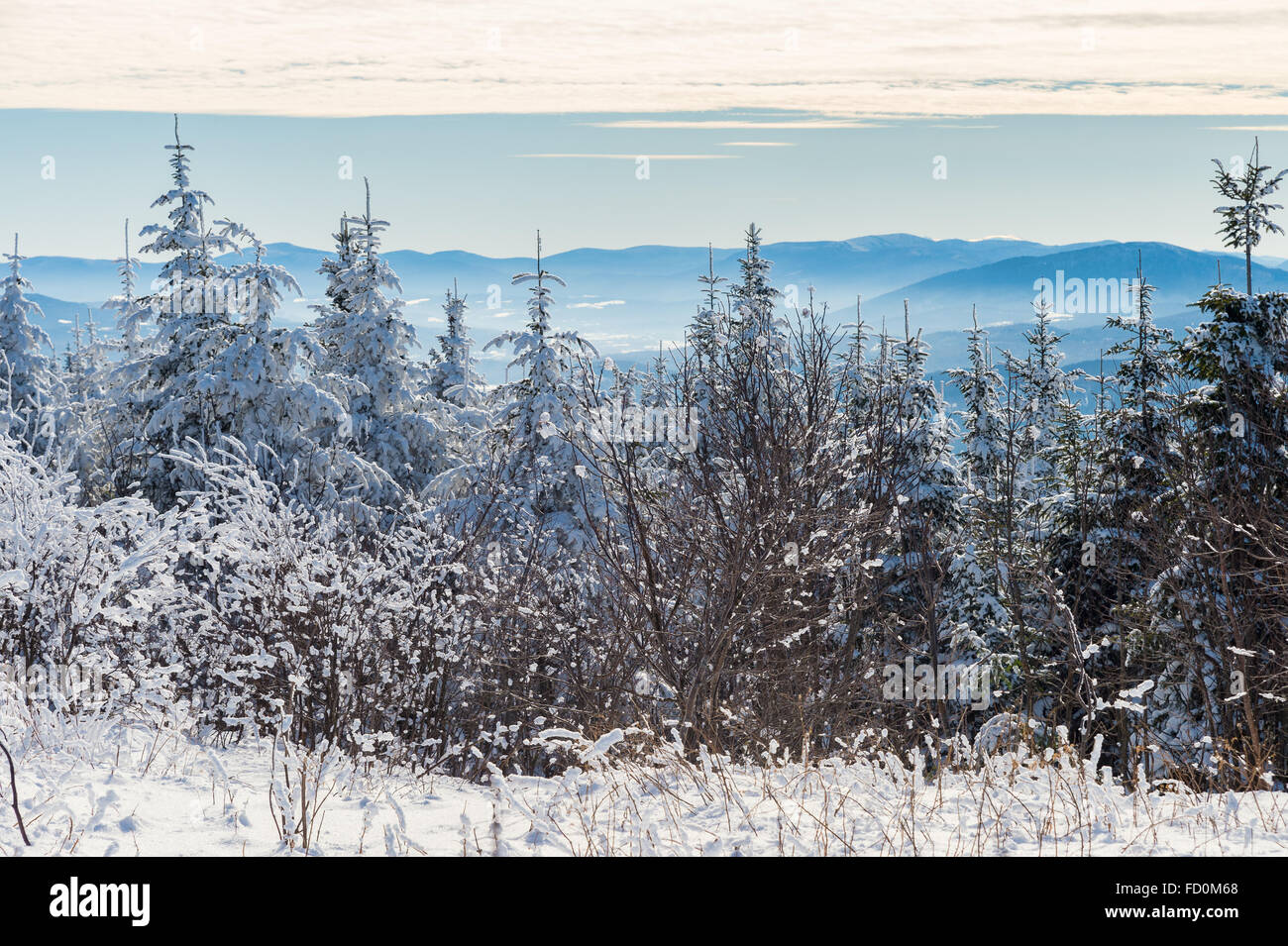 Beautiful snowy landscape in the Quebec Eastern Townships region, Canada Stock Photo