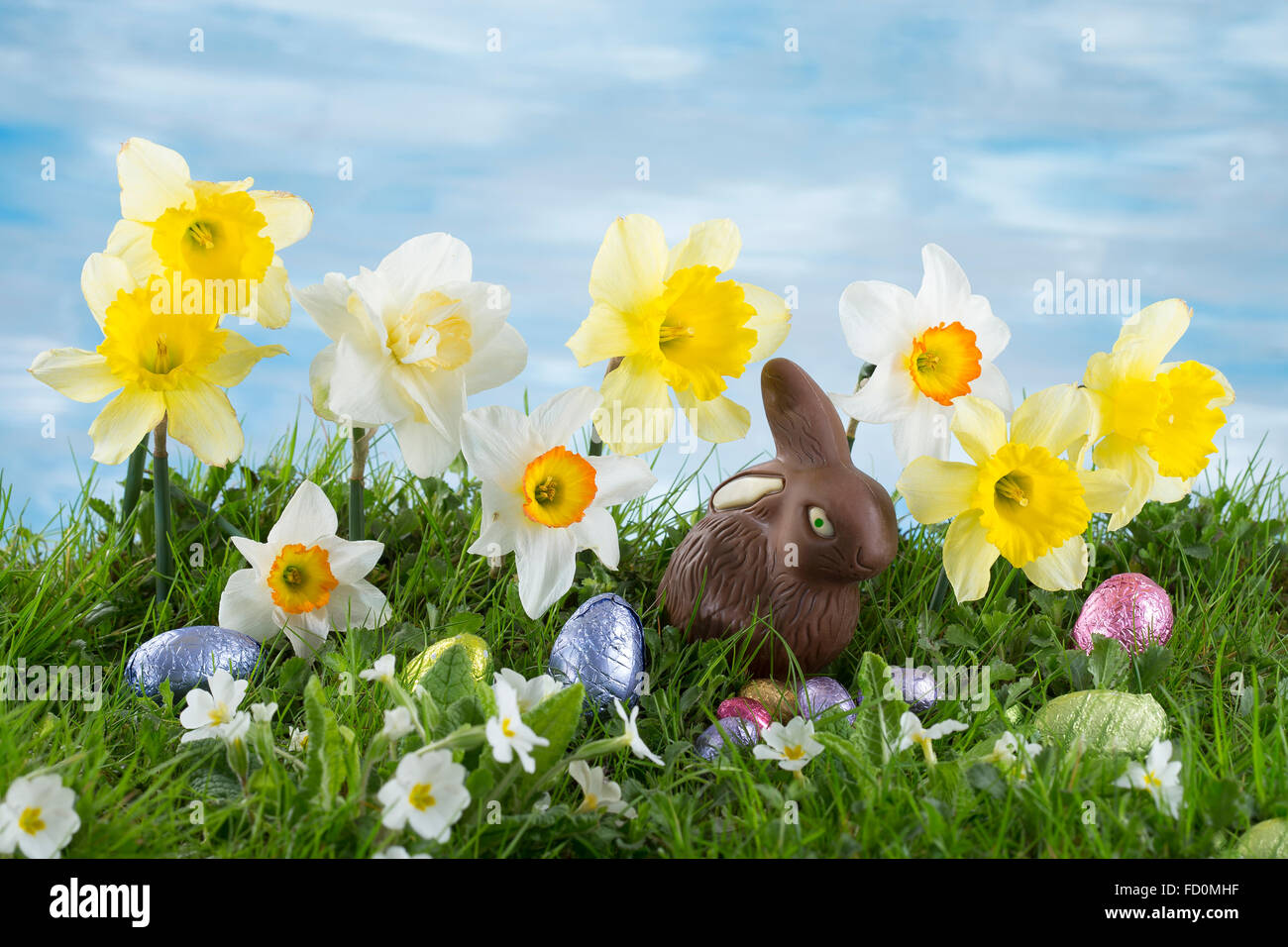 Easter Bunny and eggs hiding in the grass with daffodil Stock Photo - Alamy