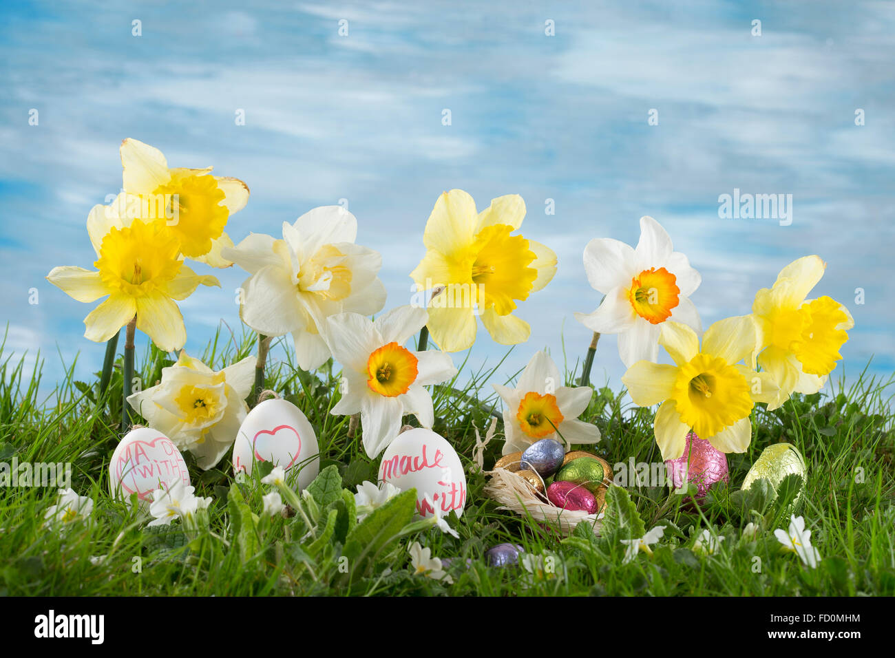 Easter Bunny and eggs hiding in the grass with daffodil Stock Photo - Alamy