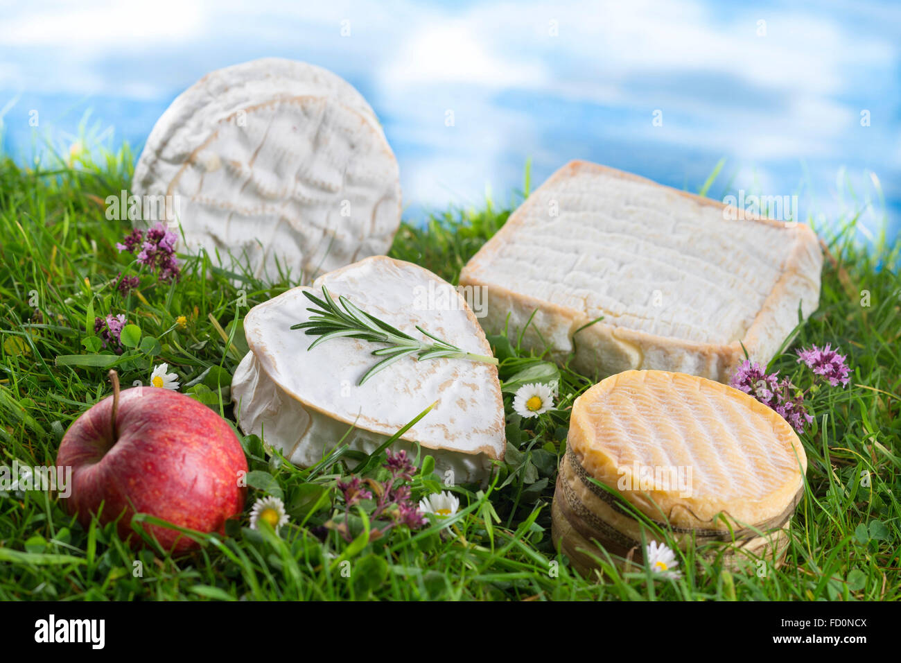 Normandy cheese france hires stock photography and images Alamy