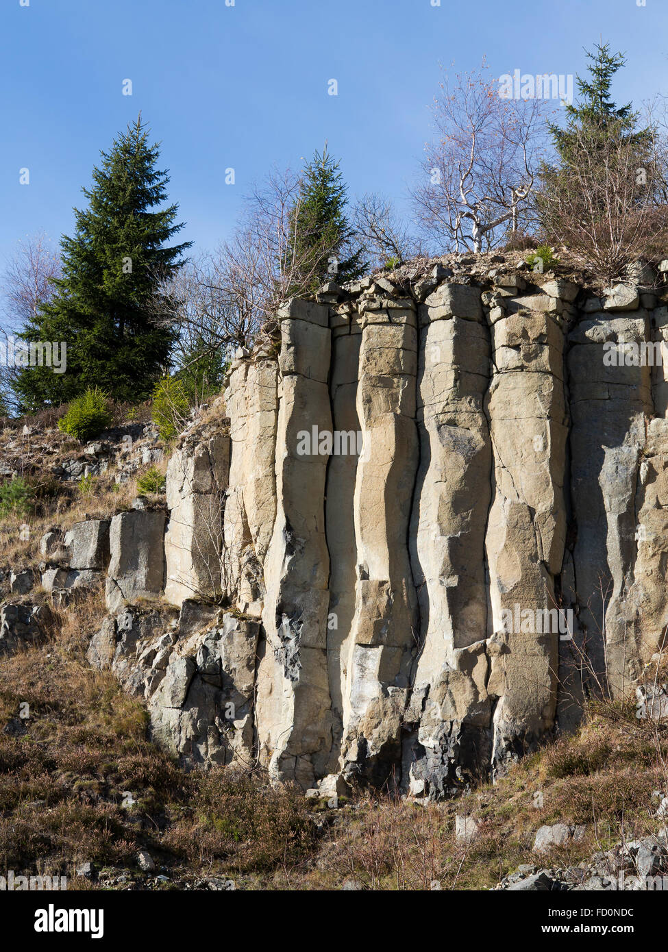 Old basalt quarry in The Ore Mountains basalt columnar jointing Stock