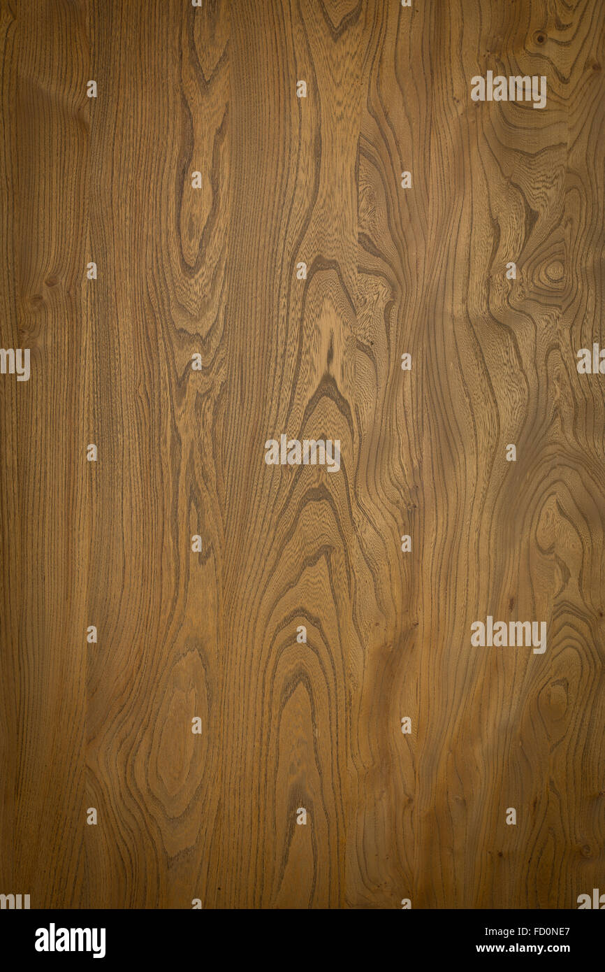 Wood texture elm grain pattern veneer abstract natural background decorative woodgrain image Stock Photo