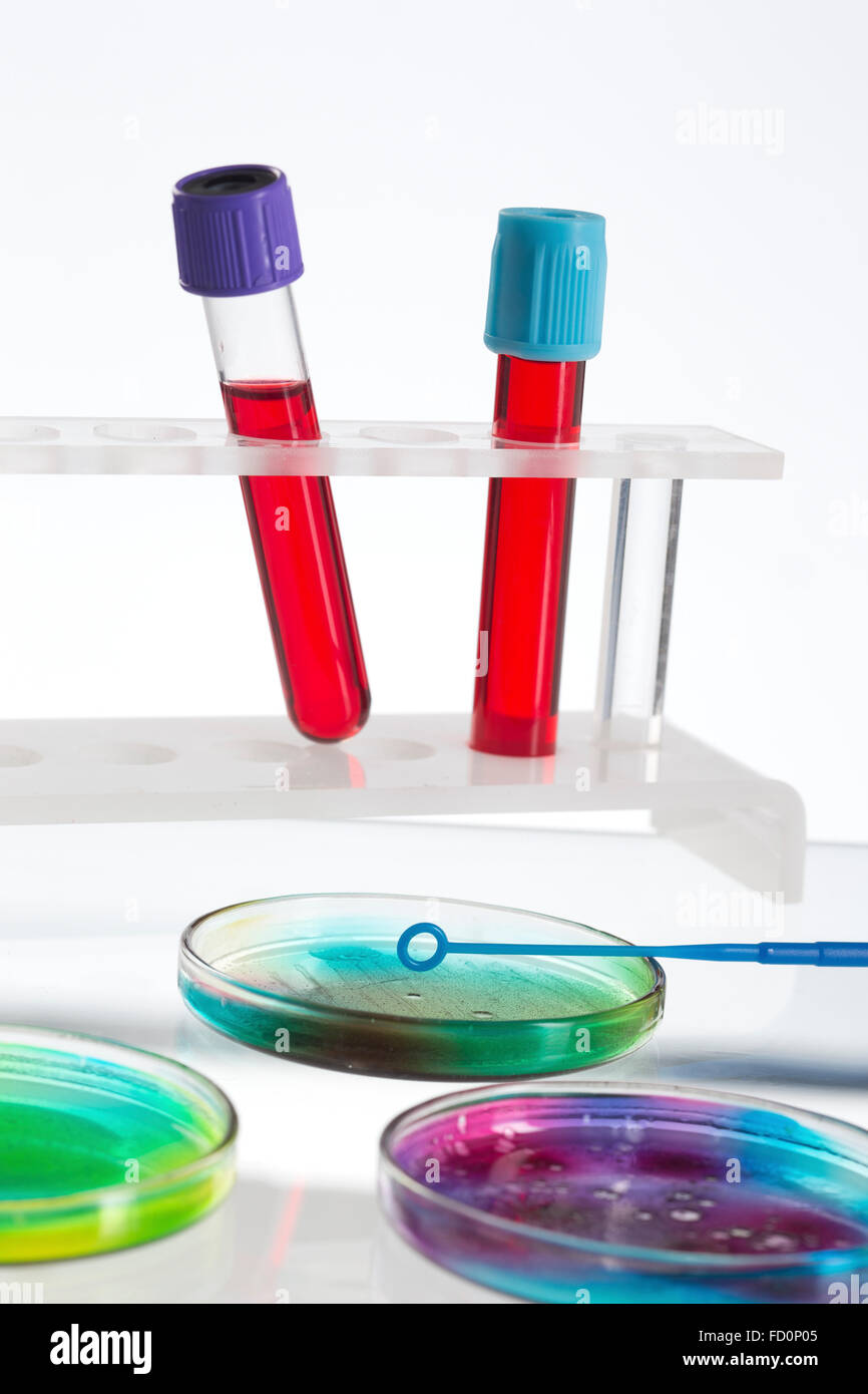 set of laboratory microbiology research supplies Stock Photo Alamy