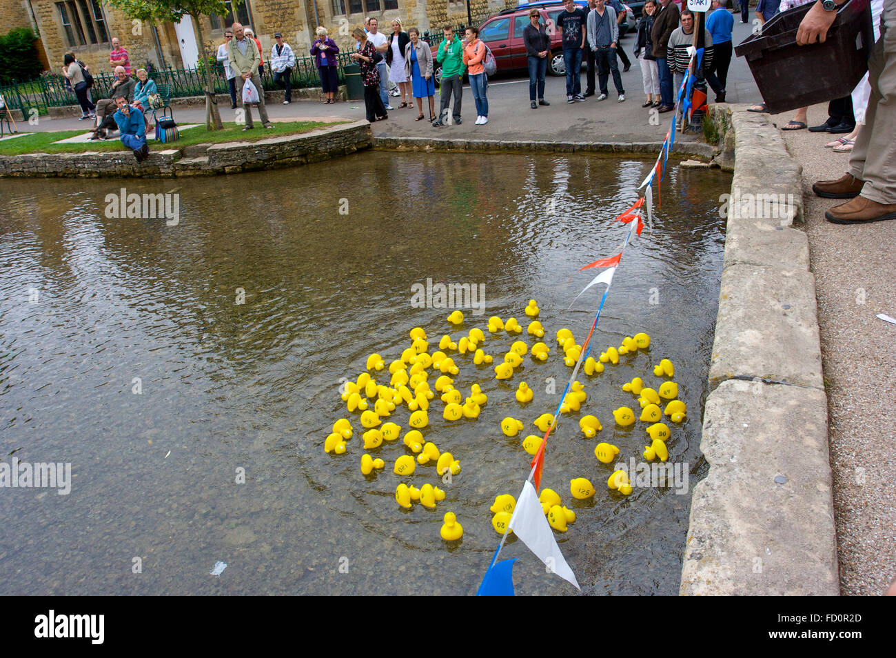 Duck racing on  river at bourton-on-the-water Cotswold Village, Gloucestershire, England Stock Photo
