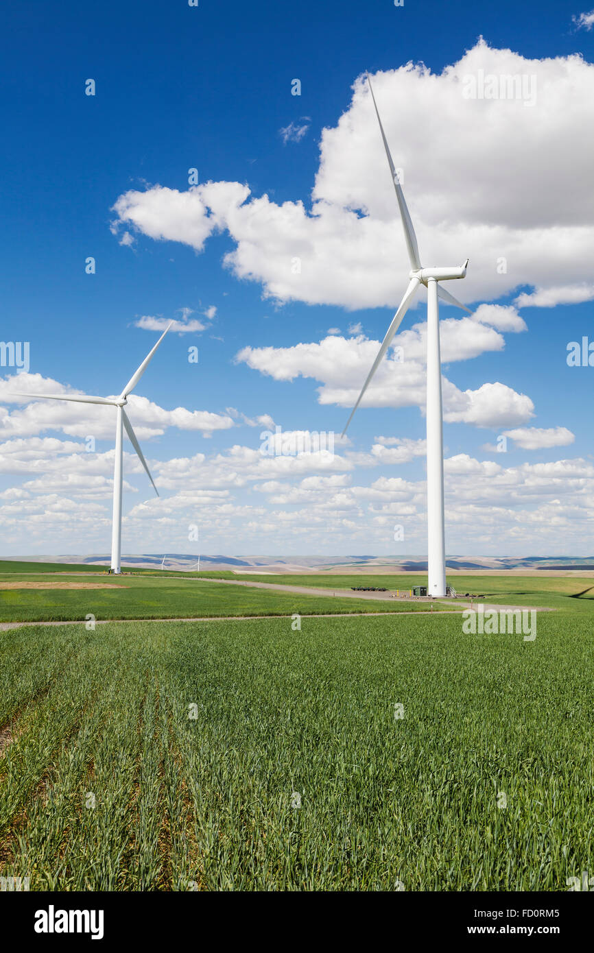 Windmill and wheatfields in Palouse region of Washington state showing land being used for multi-purposes. Electric generating Stock Photo