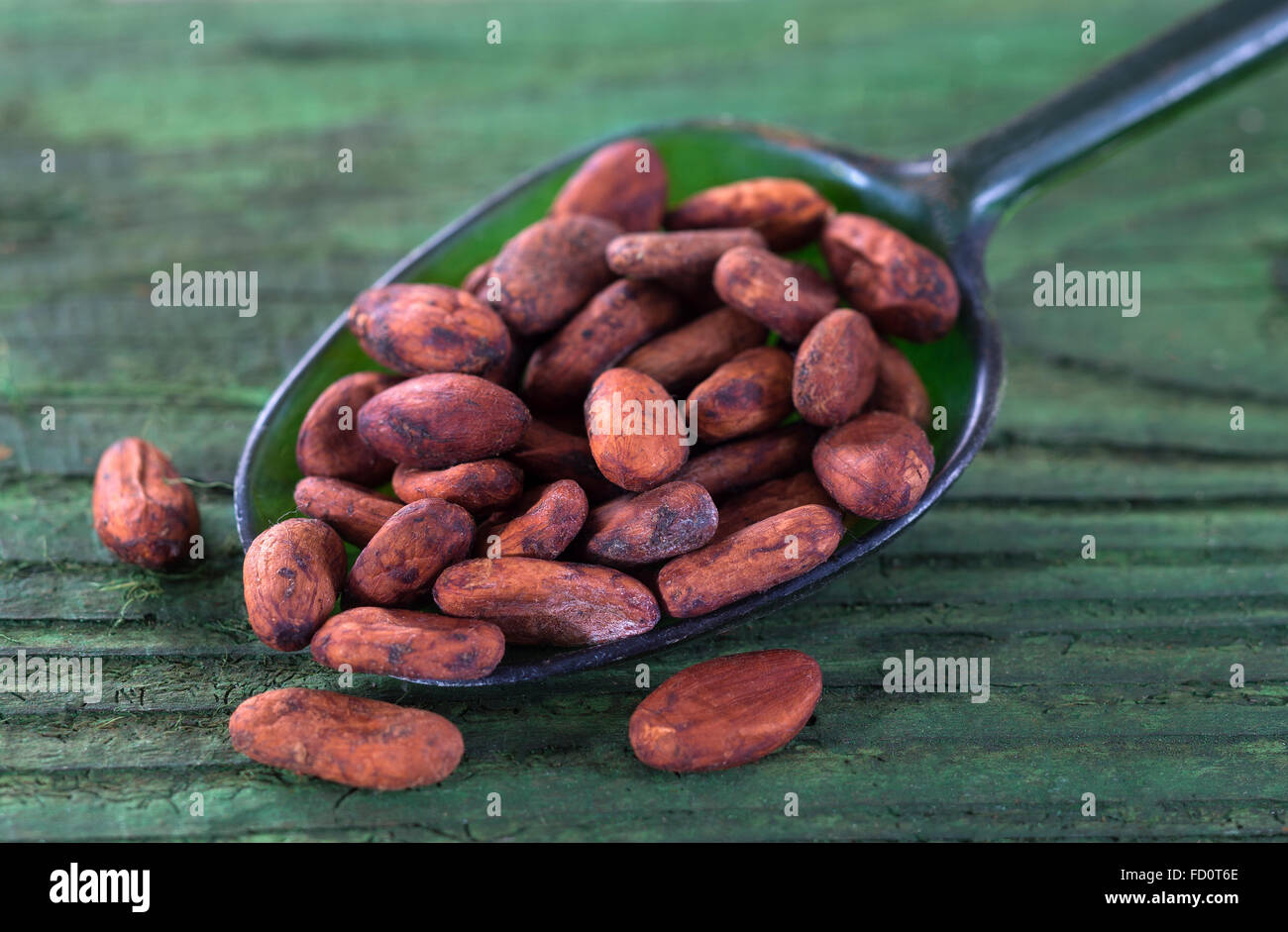 cacao Stock Photo