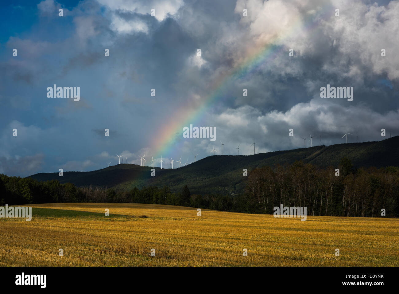 Aroostook county hires stock photography and images Alamy