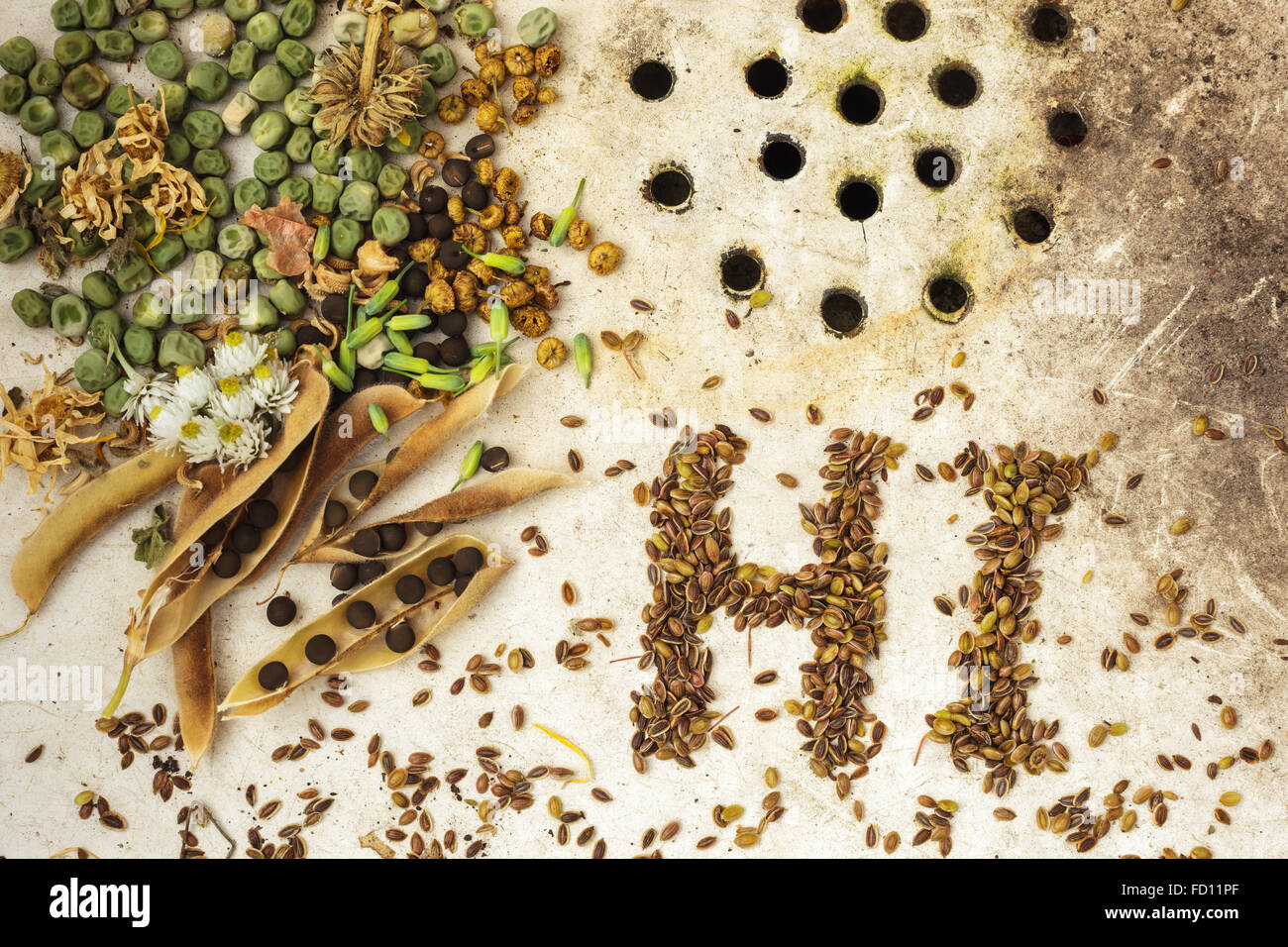 The background with the seeds on the surface of old sink: ecological products Stock Photo