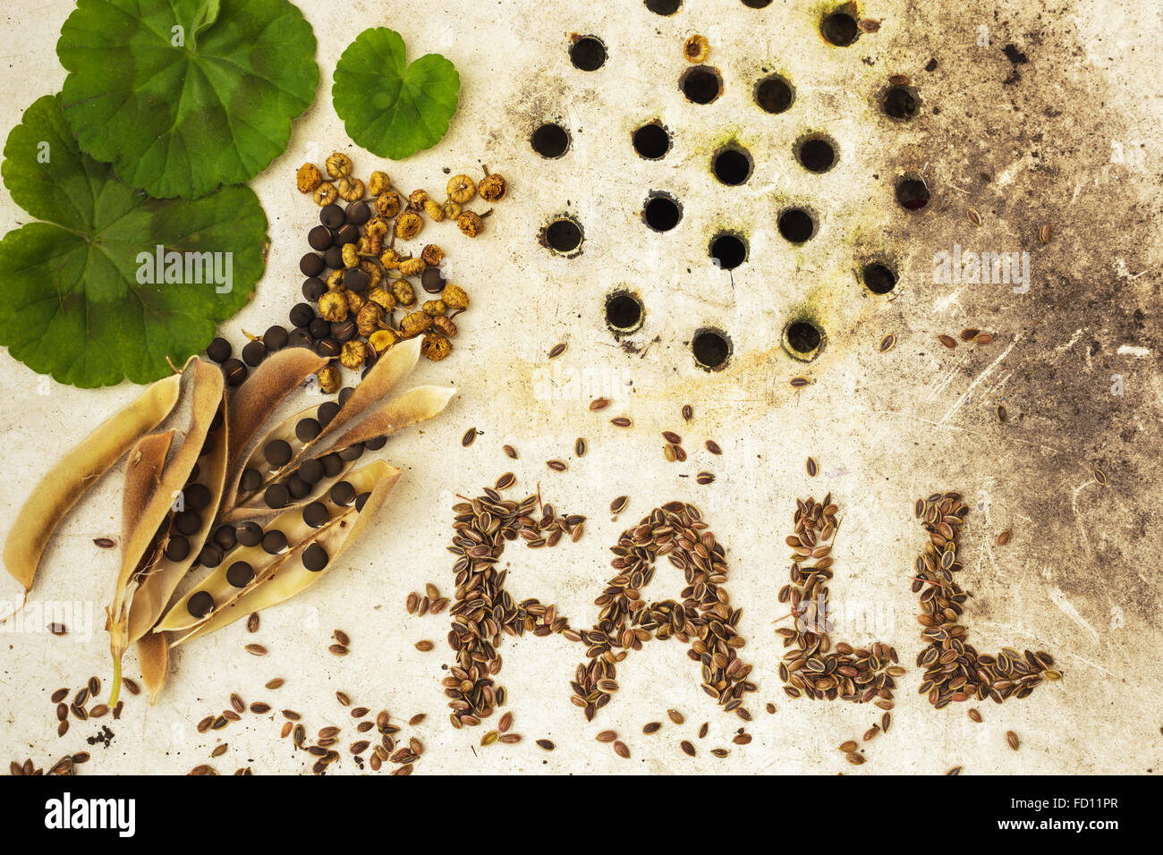 The background with the seeds on the surface of old sink: ecological products Stock Photo