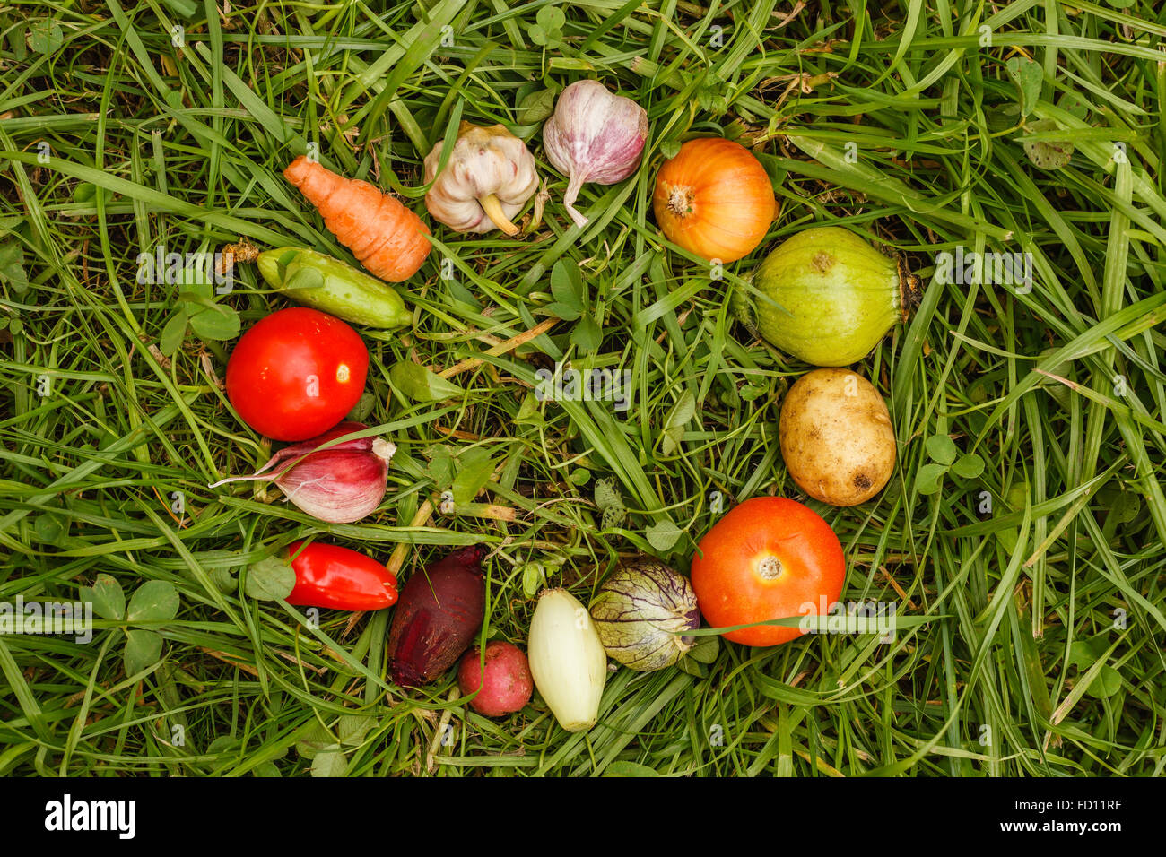 Collection healthy foods diet hi-res stock photography and images - Alamy