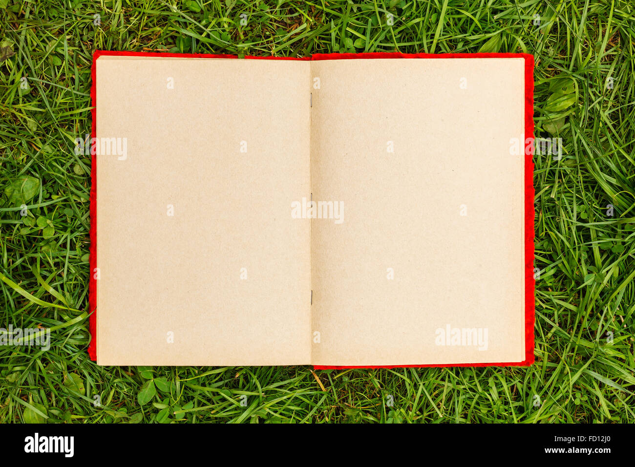 Album for photo with blank pages on the green grass. Empty space for background Stock Photo