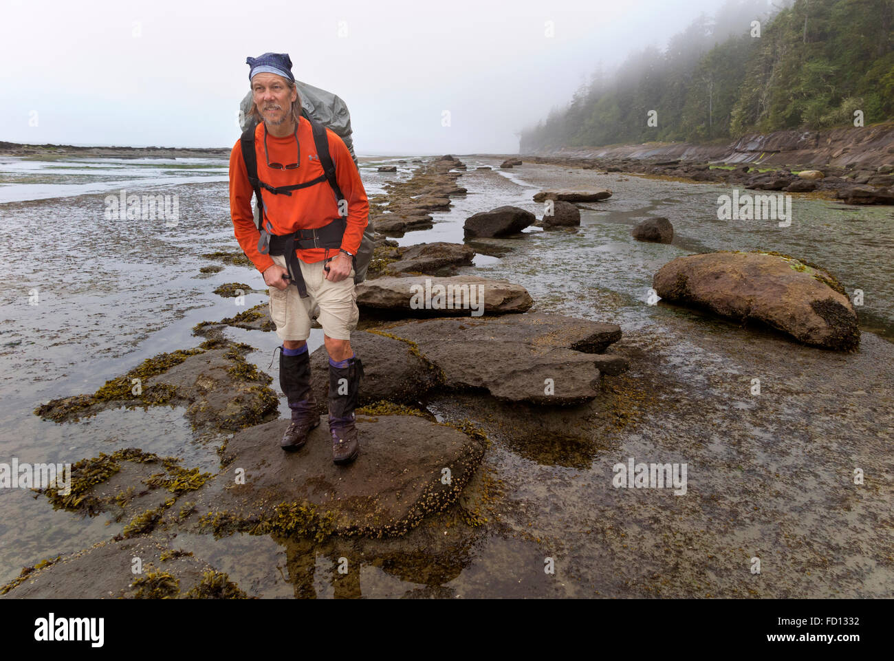 CANADA, BC- Hiker heading south from Beach Access A along the sandstone shelves lining the Juan de Fuca Strait; West Coast Trail Stock Photo