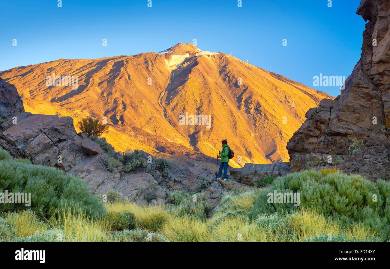 Tourist in Teide National Park, Tenerife, Canary Islands, Spain Stock Photo