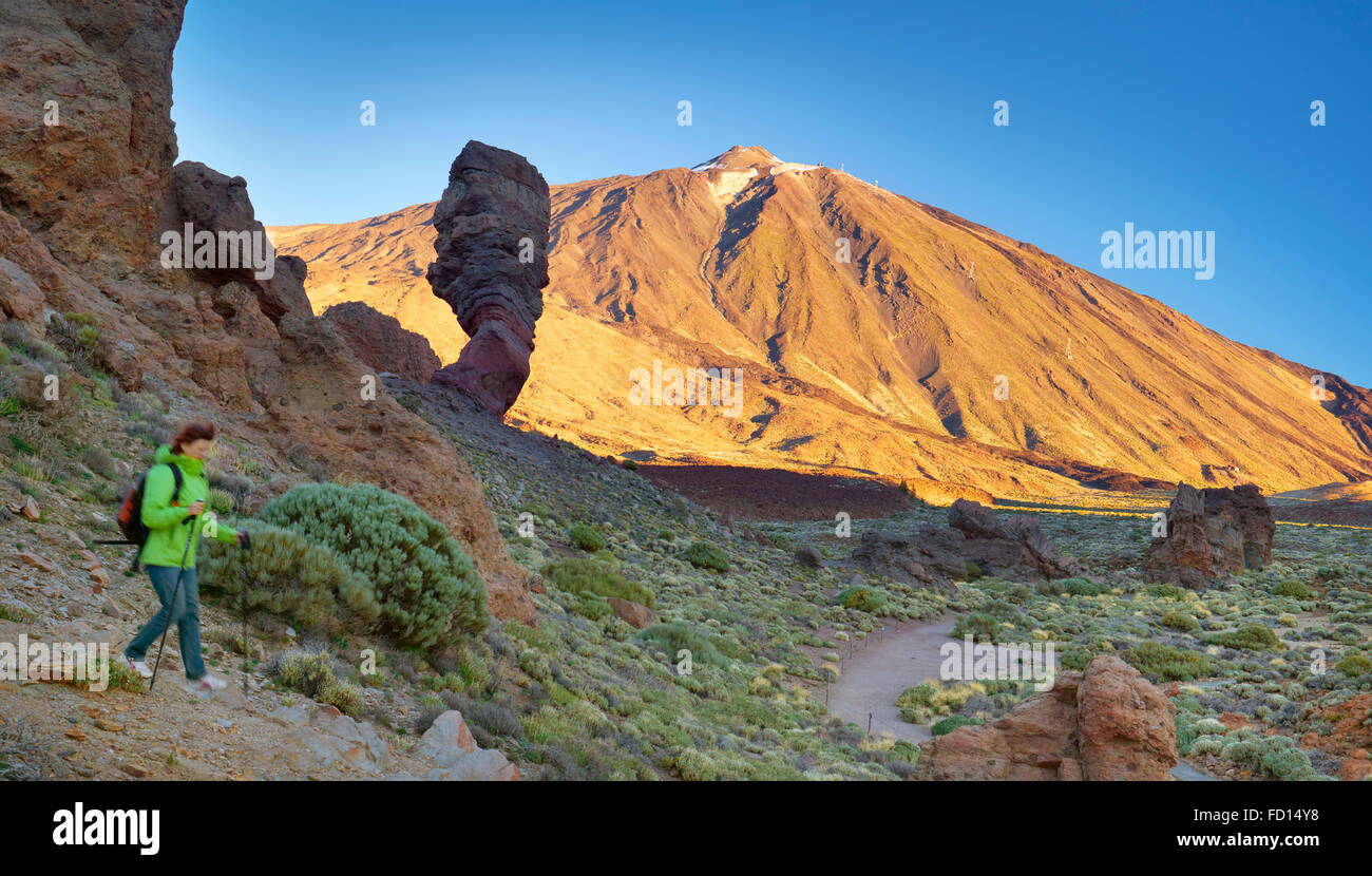 Mount Teide and Los Roques de Garcia, Teide National Park, Tenerife, Spain Stock Photo