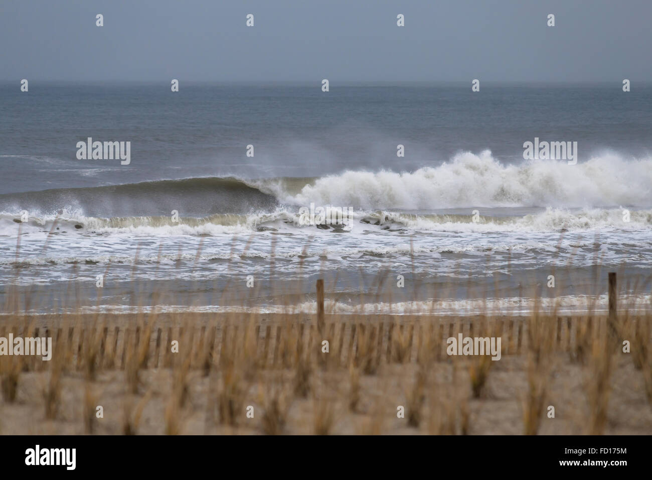 Powerful wave breaking near the shore. Photographed in Rockaway Beach