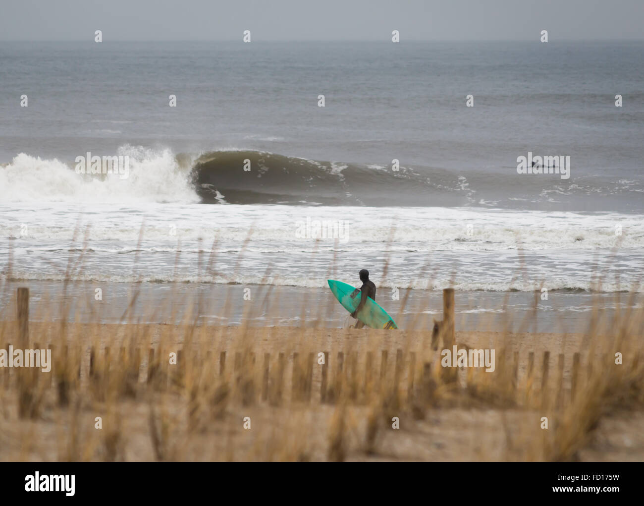 Surfers at Rockaway Beach, Queens, NY, USA. Photographed on December 29, 2015. Stock Photo
